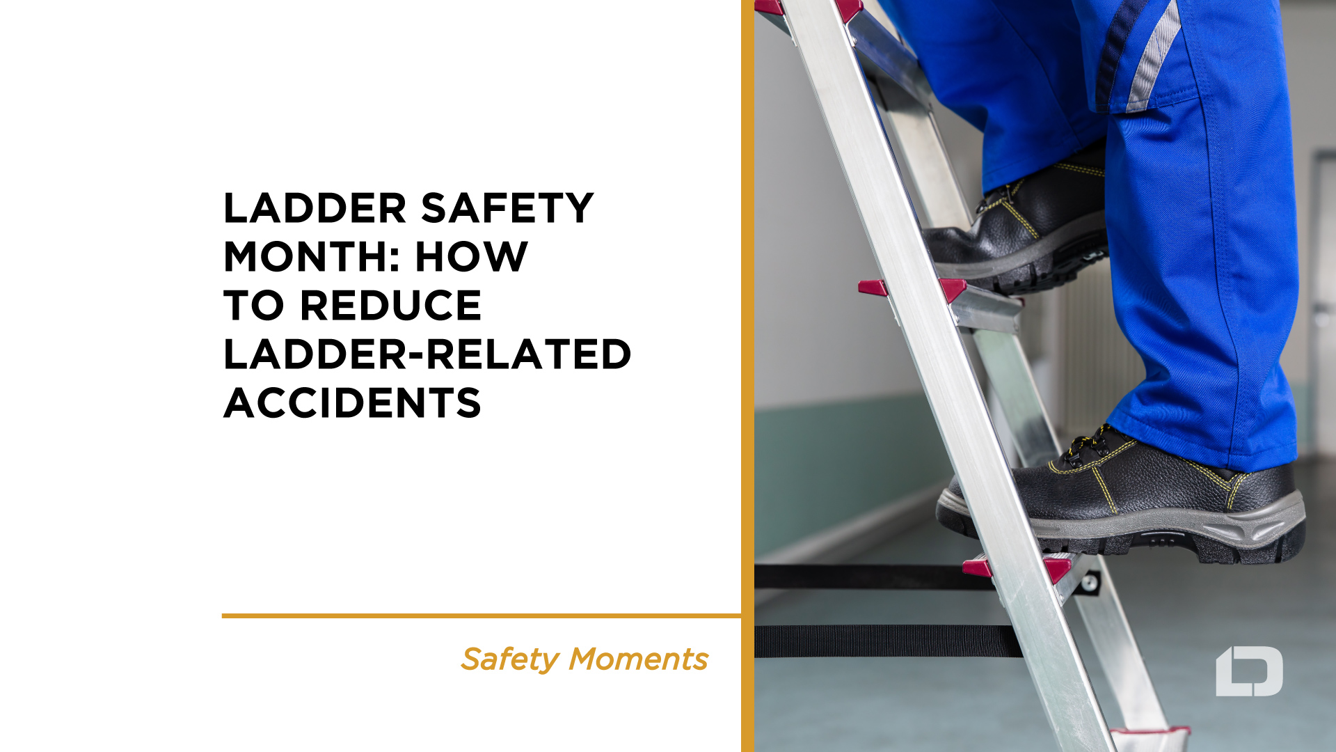 National Ladder Safety Month
