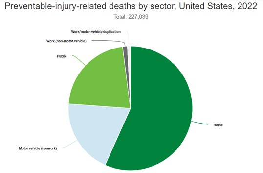 Injury Related Deaths